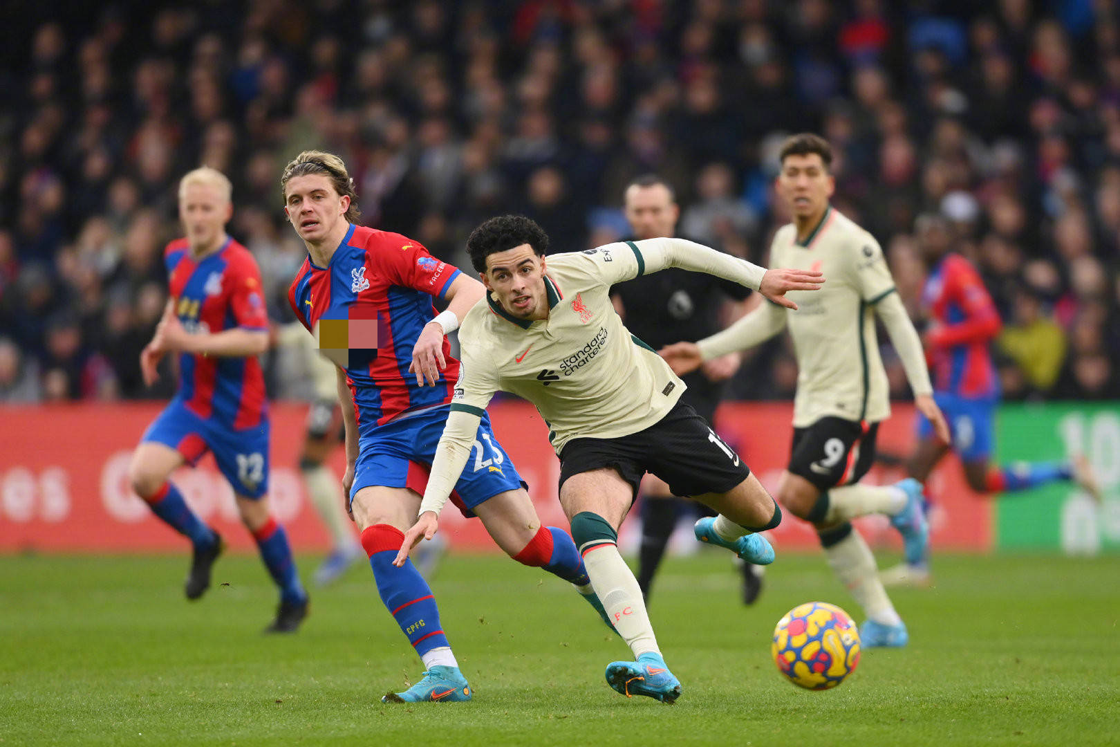 一个成熟的 一个成熟的