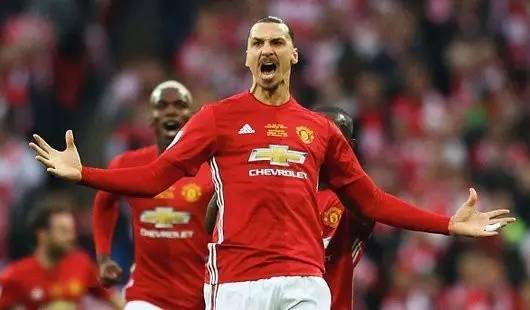 自我发展的 自我发展的